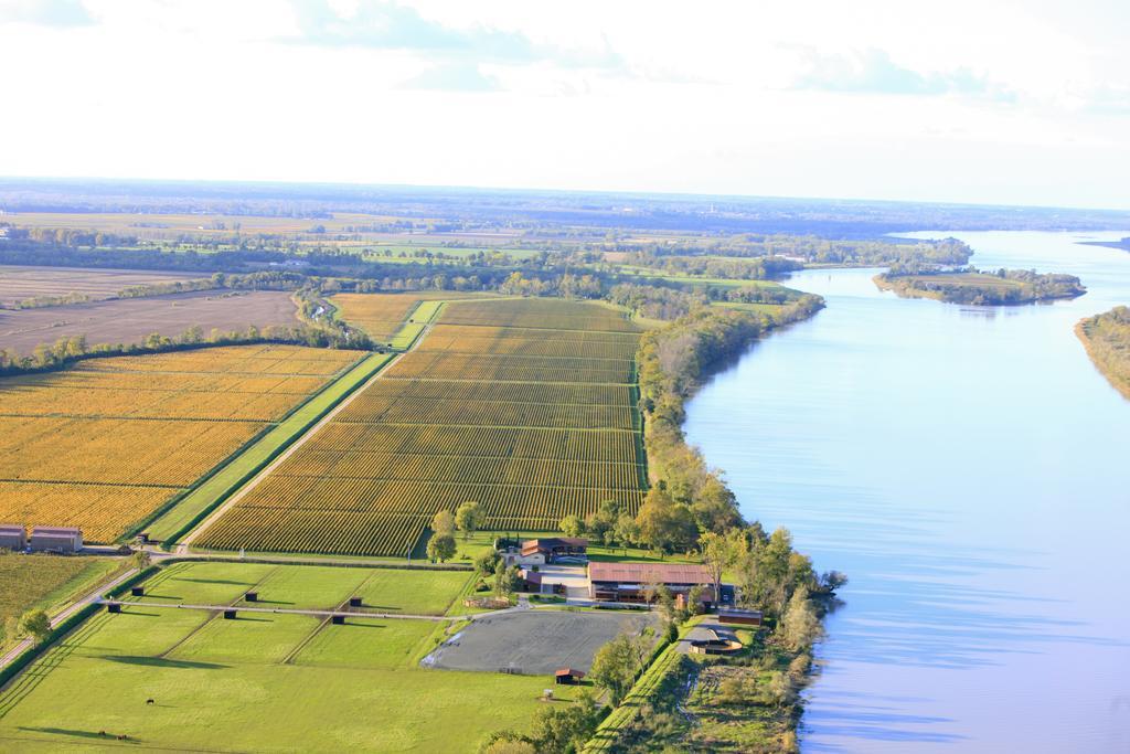 Les Cinq Sens du Château Mayne Lalande Castelnau-de-Médoc Exterior foto