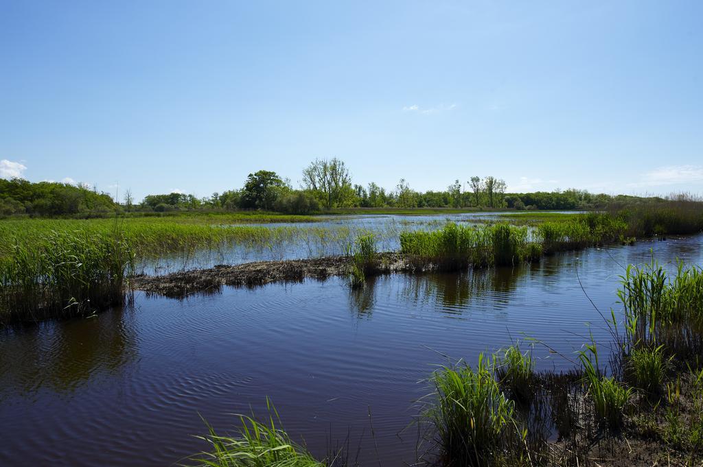 Les Cinq Sens du Château Mayne Lalande Castelnau-de-Médoc Exterior foto