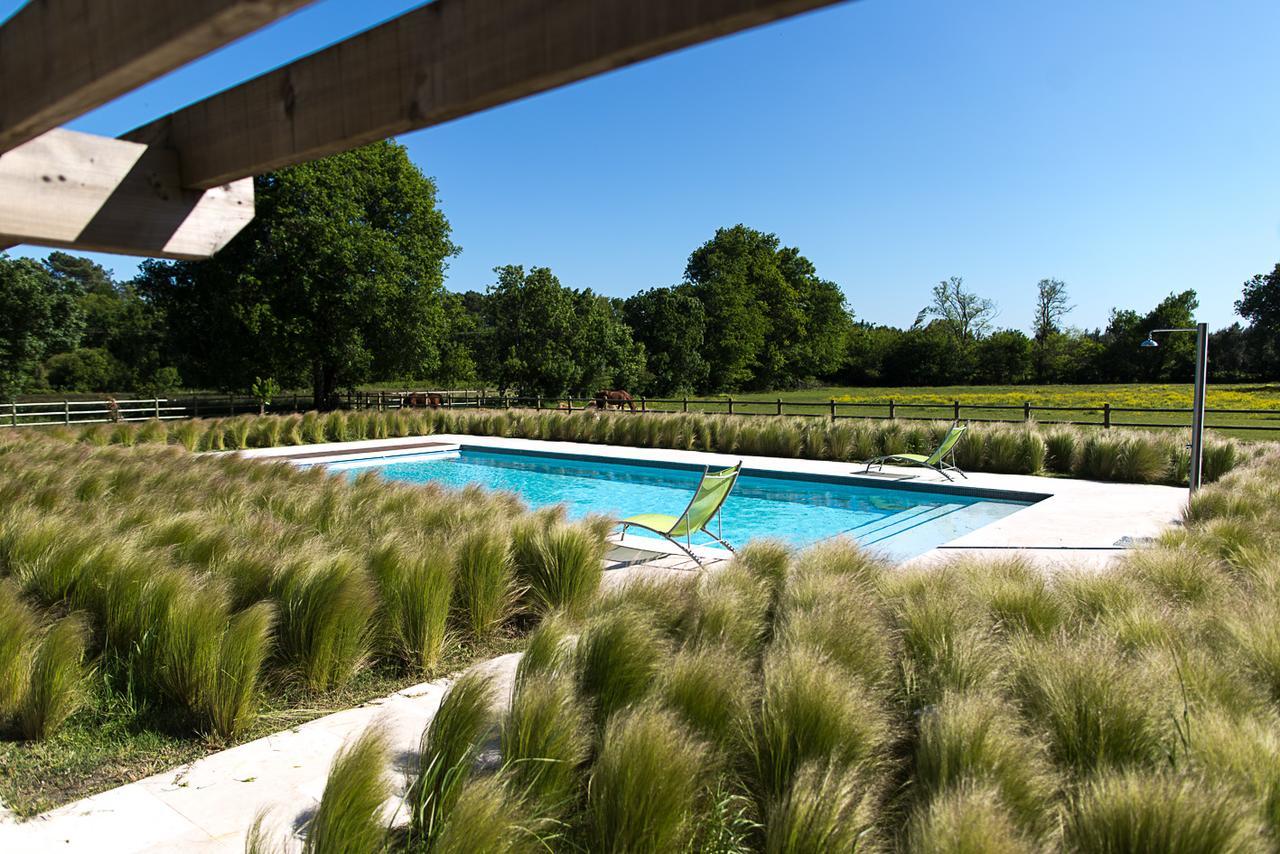 Les Cinq Sens du Château Mayne Lalande Castelnau-de-Médoc Exterior foto